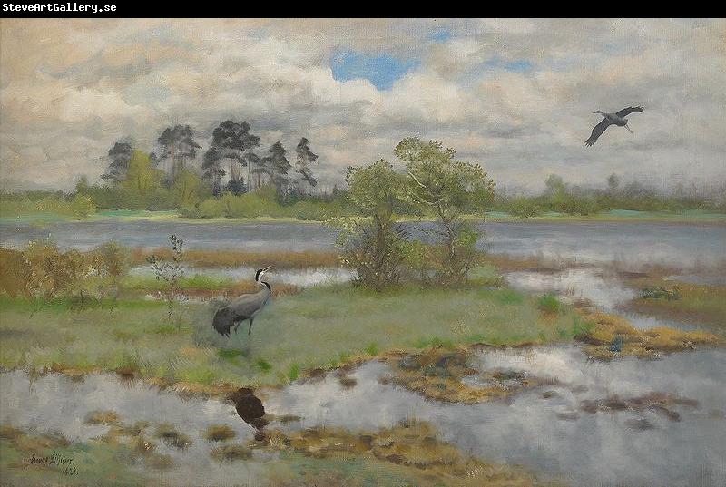 bruno liljefors Landscape With Cranes at the Water